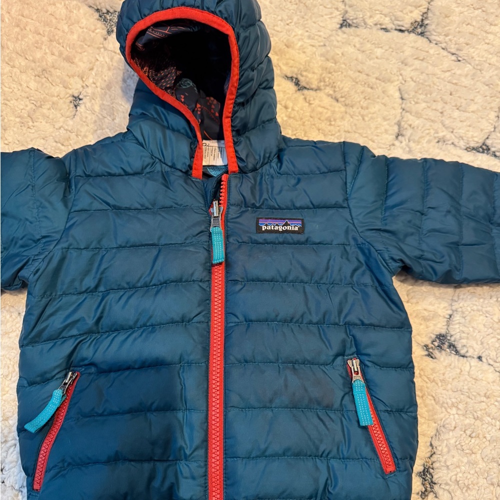 Patagonia Down Sweater Hoodie